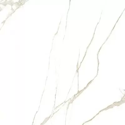 Saime ceramiche Cave 8600079/A Forte Luc Ret 60x60