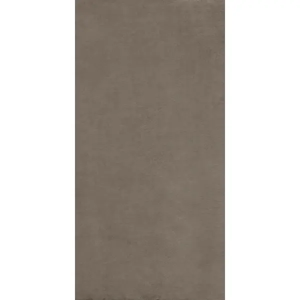 Ariostea Balance IGP62572 Mud Natural Plus 60x120