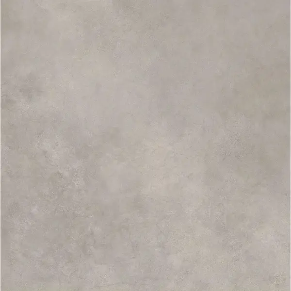 Ariana Camouflage 0014398 Taupe Beton Nat Ret 80x80 - керамическая плитка и керамогранит