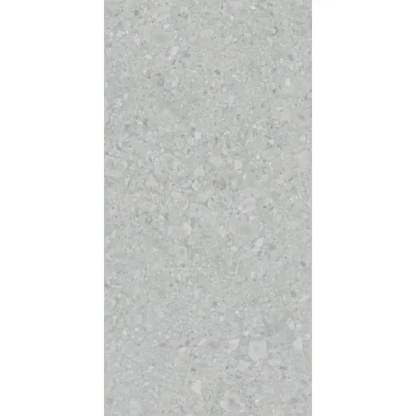 Lasselsberger (LB-Ceramics) Иней Техно 6493-0196 Серый 60x120 - керамическая плитка и керамогранит