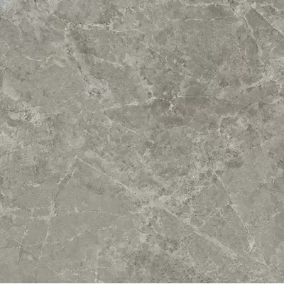 Panaria Trilogy PGWTY30 Sandy Grey Lux Rect 60x60