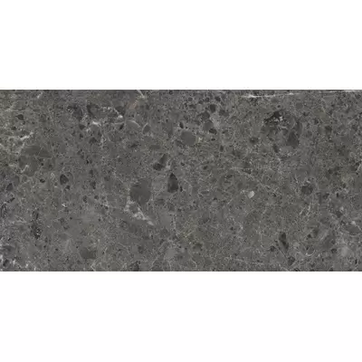 Grespania Artic 48RC69P Antracita Pulido 59x119