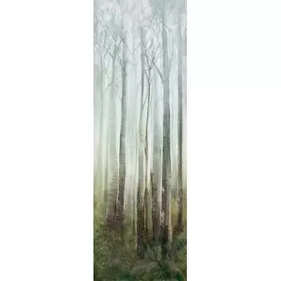 Cotto D’Este Wonderwall Dream C 100x300