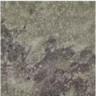 Fmg Graniti Verde Tropical 40 Prelevigato 40x40
