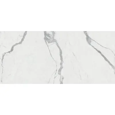 Rak Ceramics Calacatta Extra Lapp 60x120