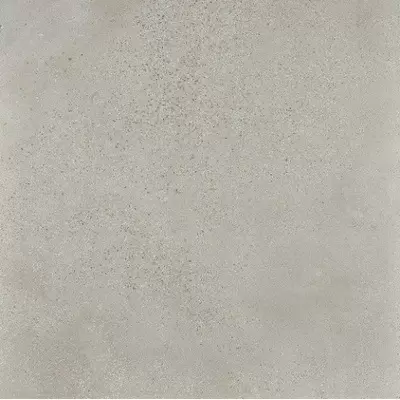 Ceramica Fioranese I Cocchi Cenere 60x60