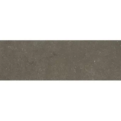 Stone The Room Cendre Cement 100x300