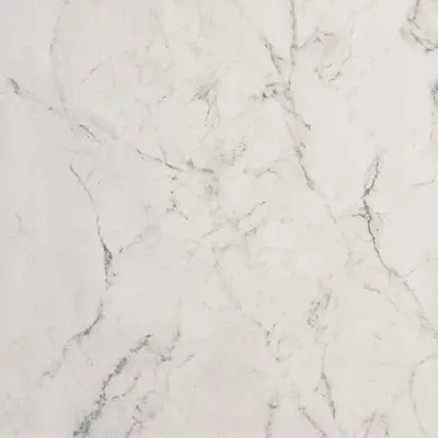 Fap Ceramiche Roma Stone fRDG Carrara Delicato Matt R10 80x80