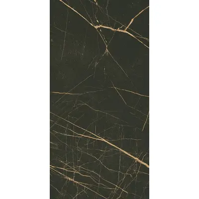 Grupa Paradyz Fancy Black Polysk 30x60