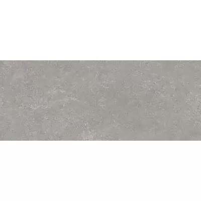 Panaria Prime Stone PZ6PM20 Silver Prime 100x250