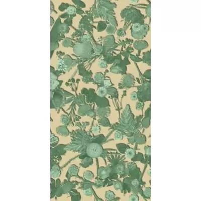 Sodai Bloom 7000134 Essenza Green B 3.5 mm 50x100