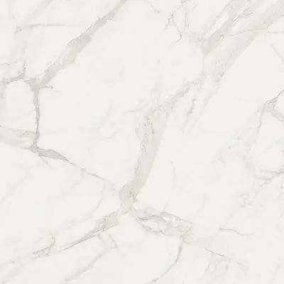 Ceramica Fioranese Marmorea MM751R Bianco Statuario matt 74x74
