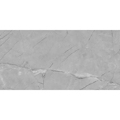 Colorker Corinthian Grey Pulido-2 58.5x117.2