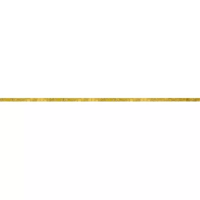 Bisazza Fregi 02199999ML Riga Oro Giallo 10 1x100