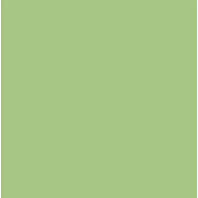 Rako Color Two GAA1K465 Зеланая 20x20