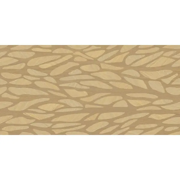 Cristacer (Cristal Ceramicas) Woodlay Forest Multi 60x120