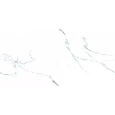 Art Ceramic Platinum White Glossy 60x120