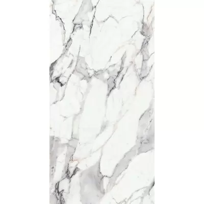 Rex Ceramiche Les Origines 769963 Argent Mat 6mm Ret 120x240