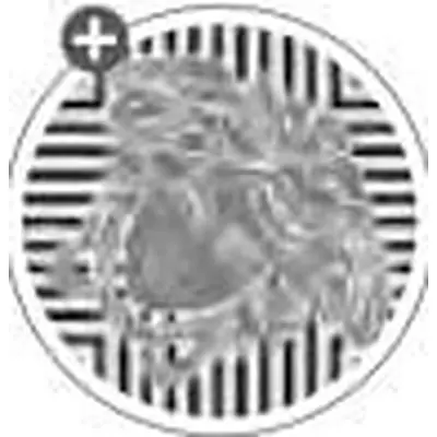 Versace Villa 49083 Tozzetto Medusa Bianco-Nero-Platino Naturale 2,7x2,7