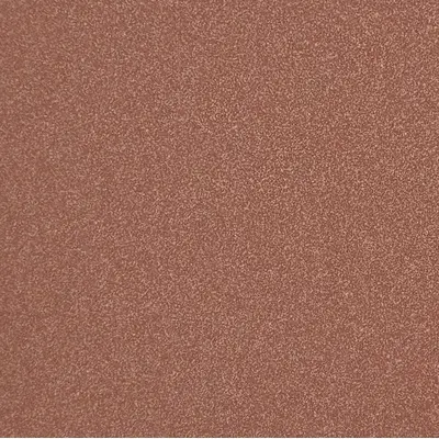 Casalgrande Padana Granito 1 Colorado Levigato 8,5mm 40x40