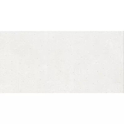 Rako Betonico DAKV1795 Белый 60x120