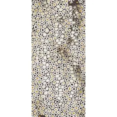 Imola ceramica The Room JAGUAR6 260LP-2 120x260