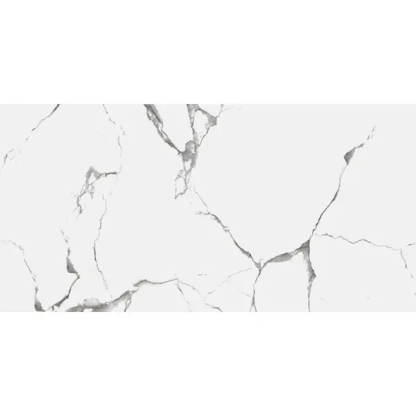 Royce Evon Statuario R_NR2003 Matt 60x120