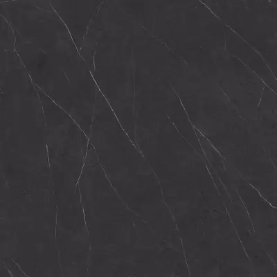 Xlight Liem Black Polished (6 мм) 120x120