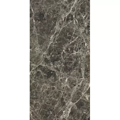 Rex Ceramiche Les Bijoux de Rex 766373 Marron Imperial Matte Ret 40x80