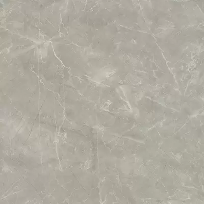 Laparet Wolf Grey 80x80