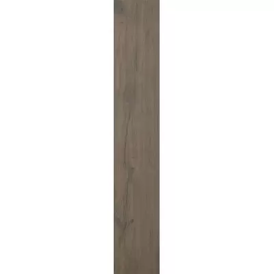 Casalgrande Padana Tavolato Marrone Scuro Antibacteri 20x120