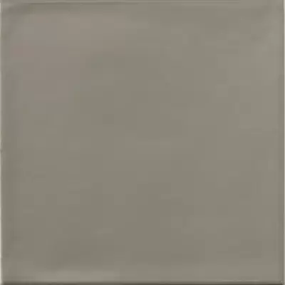 Tonalite Satin 1673 Cemento 15x15