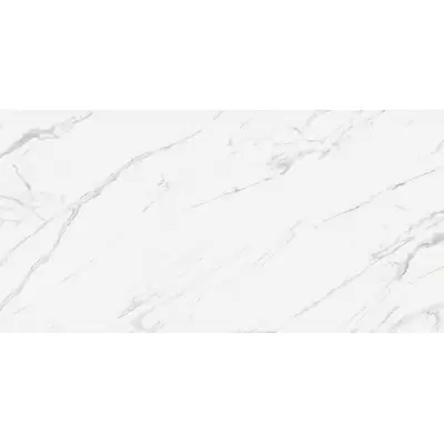 Casalgrande Padana Marmoker 2560617 Statuario Grigio Lucido A Sp 120x240