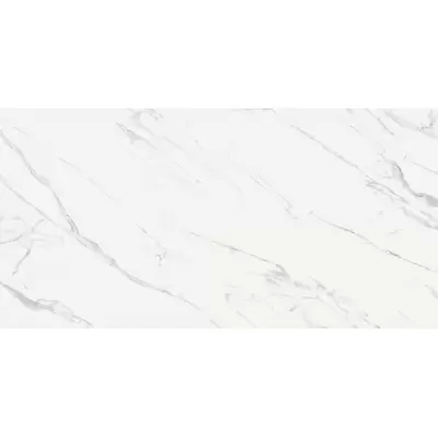 Casalgrande Padana Marmoker 2560517 Statuario Grigio Lucido A 120x240