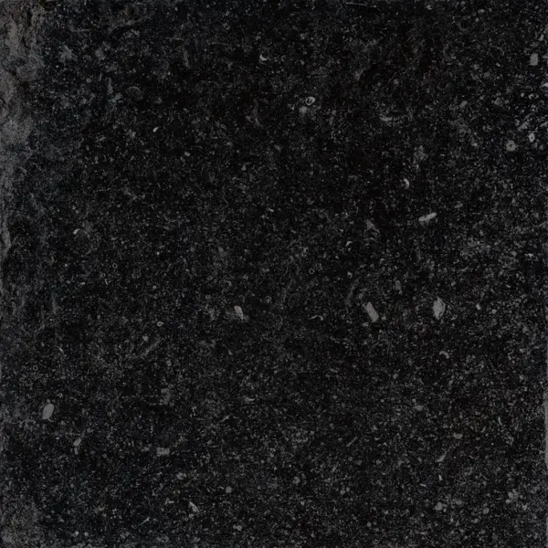 Cerdomus Nordenn 77339 Nero Rettificato 60x60