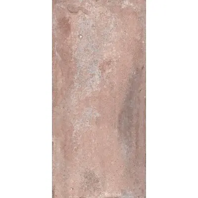 Sadon Bristol J85537 Rust 17x34