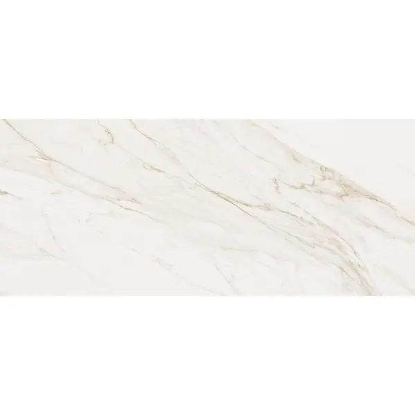 Cerdomus Omnia 88920 Calacatta Matt Ret 60x120