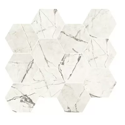 Caesar Anima Ever AFFI Magnificent White Luc Ret 28.5x33