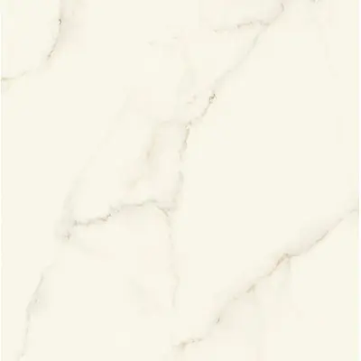 Atlas Concorde Marvel X AFVJ Calacatta Apuano Silk 120x120