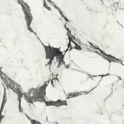 Rex Ceramiche Les Bijoux de Rex 766364 Calac Altissimo Matte Ret 80x80