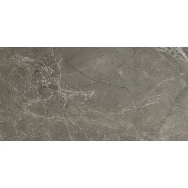 Modern Tile Zanetta Grey Glossy 60x120