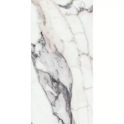Rex Ceramiche Les Origines 769855 Argent Mat Ret 60x120
