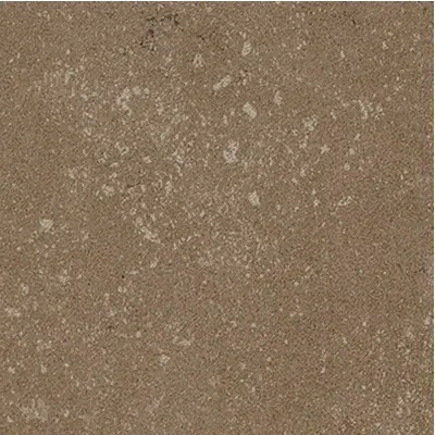 Kerlite Buxy Noisette 50x50
