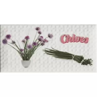 Absolut Keramika Monocolor AK1150 Modern Chives 10x20