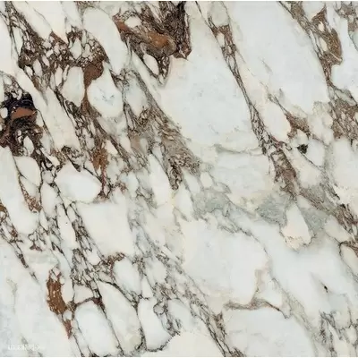 Rex Ceramiche Les Bijoux de Rex 766344 Breche Capraia Glossy Ret 60x60