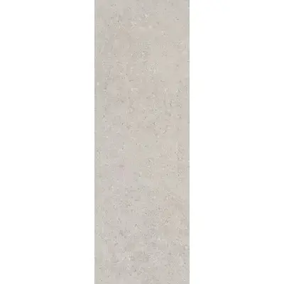 Kerama Marazzi Риккарди 14053R Серый светлый матовый обрезной 40x120