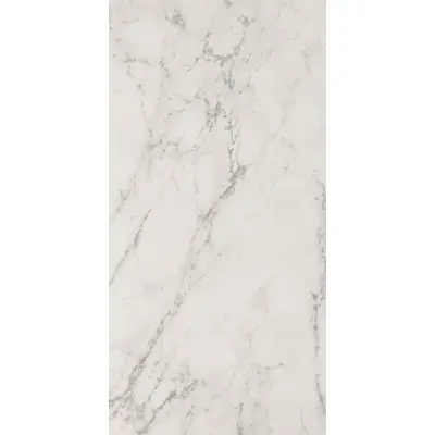 Fap Ceramiche Roma Stone fQW8 Carrara Delicato Matt R9 60x120