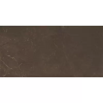 AltaCera Ryan WT9MRB21 Marble Marron 24.9x50