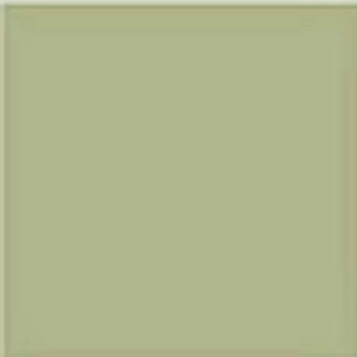 Vives monocolor Musgo 20x20