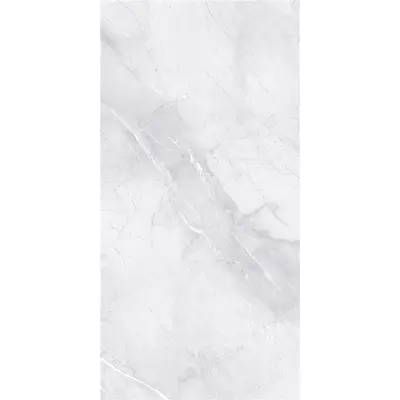 Eurotile Керамогранит Иран 549 60x120